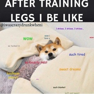 gym meme